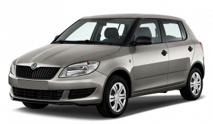 Двигатель Skoda Fabia в Москве